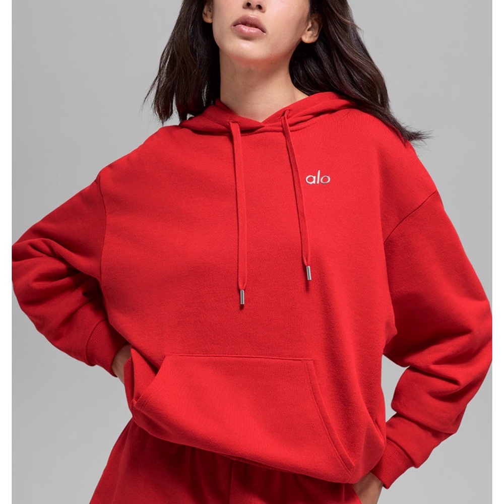 Alo accolade hoodie